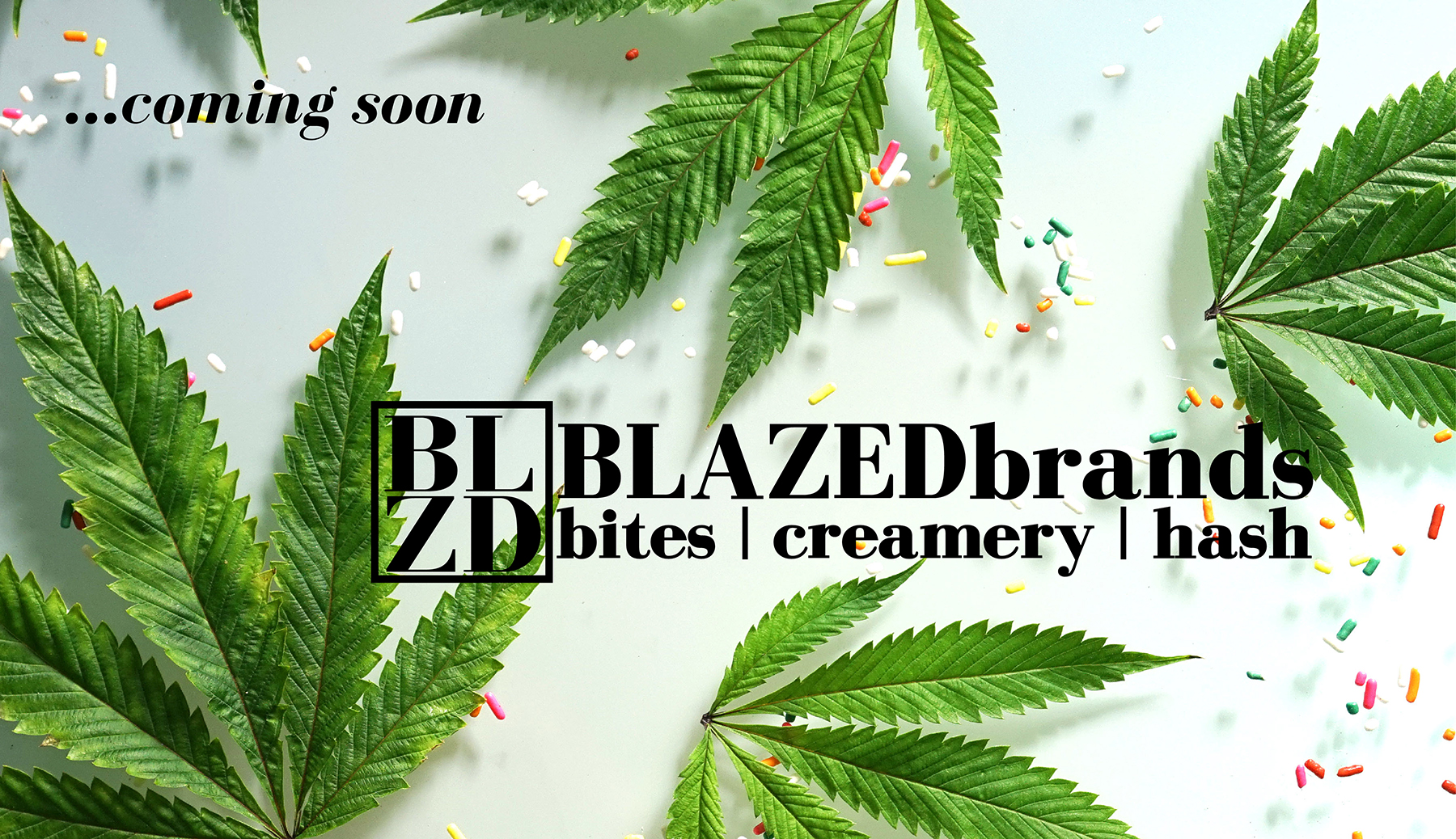 BLAZEDbrands
